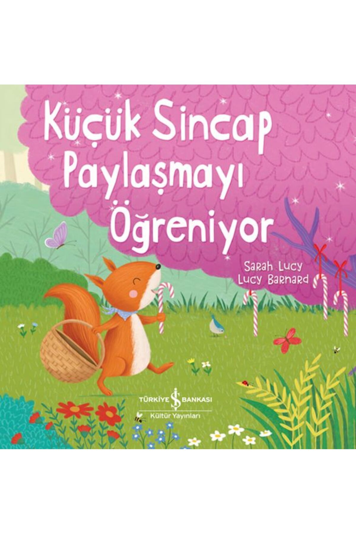 Destek Yayınları Küçük Sincap Paylaşmayı Öğreniyor