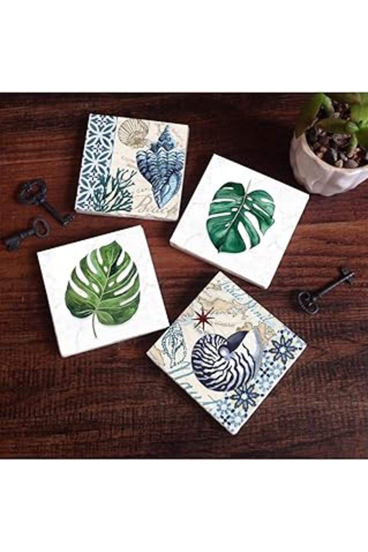 Mu Art Pinecone Deniz Kabuğu, Yaprak Taş Bardak Altlığı Seti - 4 Parça - Dekoratif, Rustik Mutfak Aksesuar