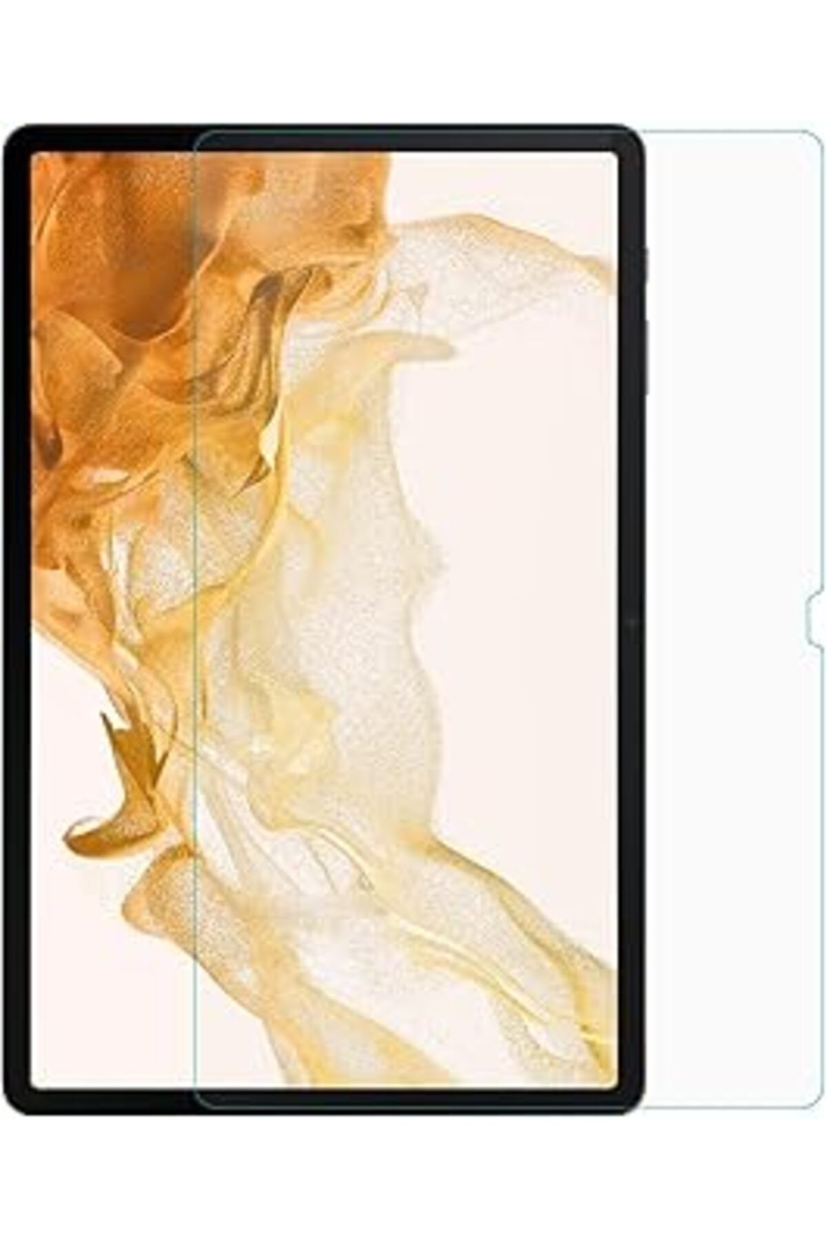 Pazarcan Microsonic Samsung Galaxy Tab S8 X700 Tempered Glass Cam Ekran Koruyucu [Galaxy Tab S8 X700 Ile Uyu