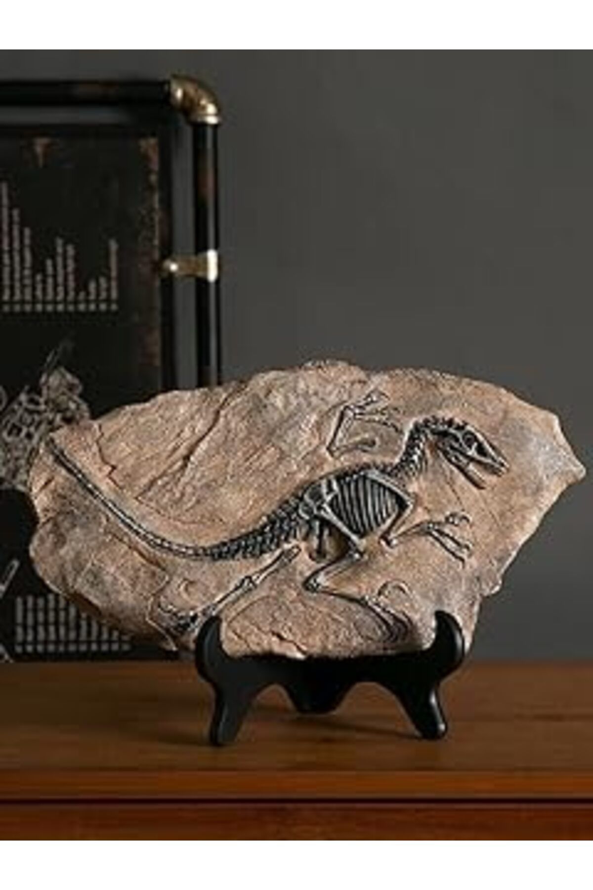 Mu Art Sume Vintage Dinozor Fosil Reçine Heykeli Retro Tarzda Minyatür Kapalı Alan Dekorasyonu Ve Koleksiy