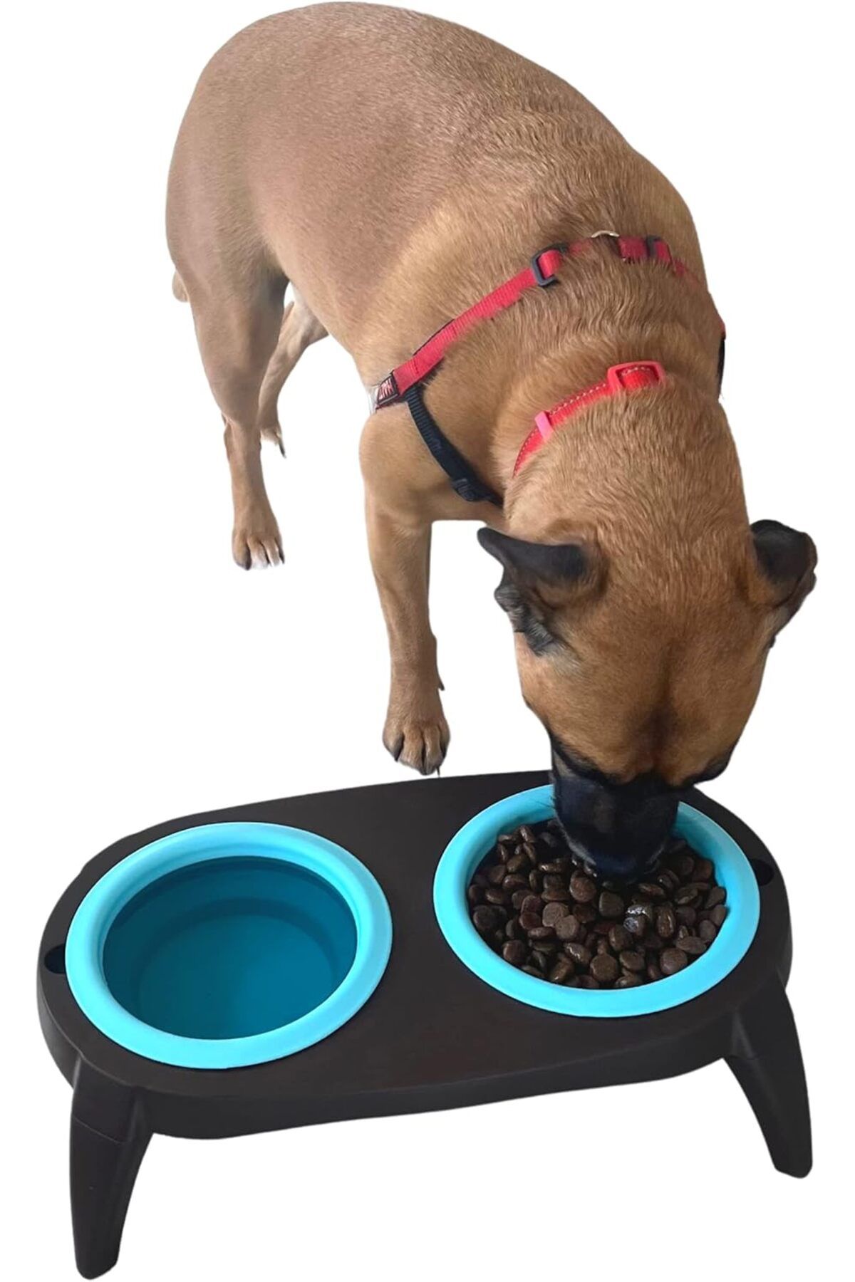 Busstier-Foldable Double Compartment Food and Water Container - Ergonomic and Portable Design 5