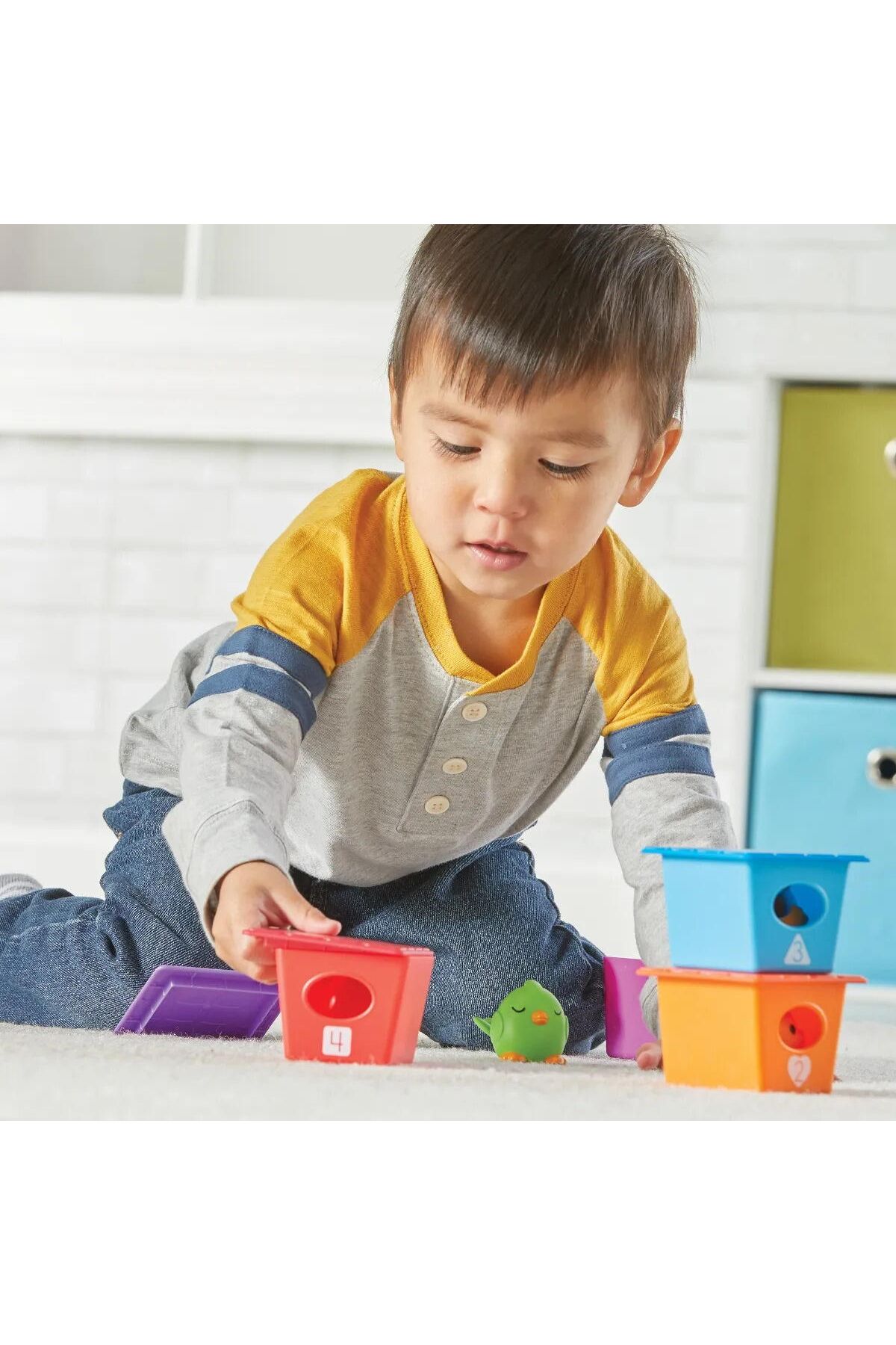 Learning Resources-Sorting and counting game - Birdhouses 3