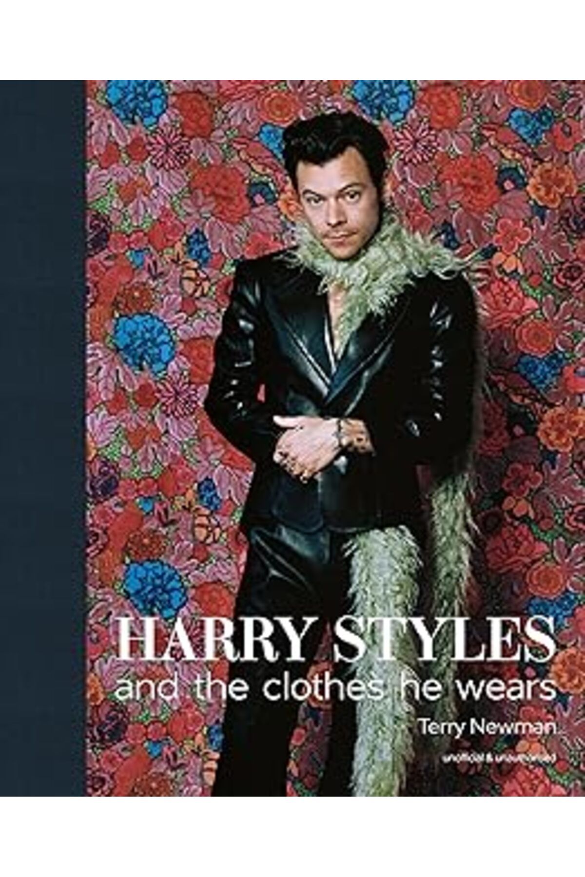 NETWORK ART Harry Styles: and the clothes he wears