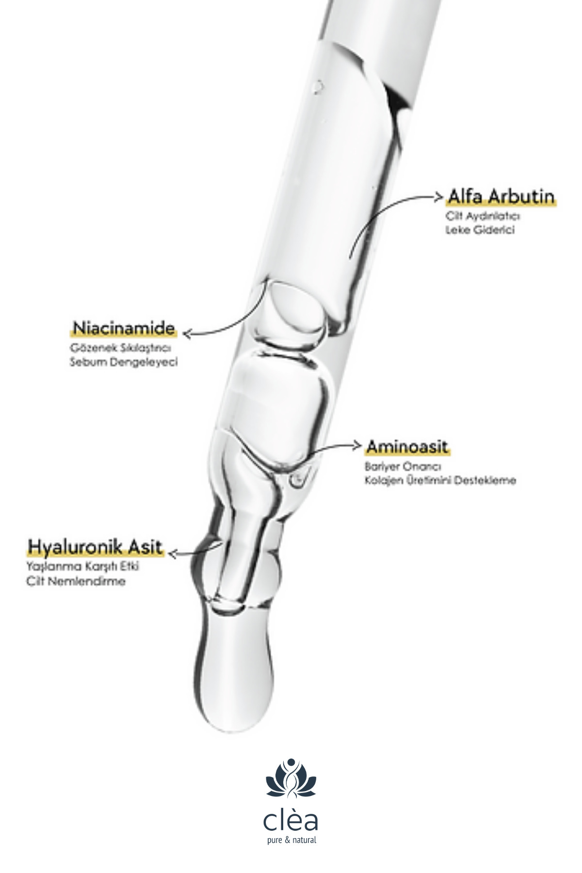 Clea Alpha Arbutin - Leke Karşıtı Onarıcı ve Aydınlatıcı Serum - (2% ARBUTİN) — CL54 — تصویر 5 از 5