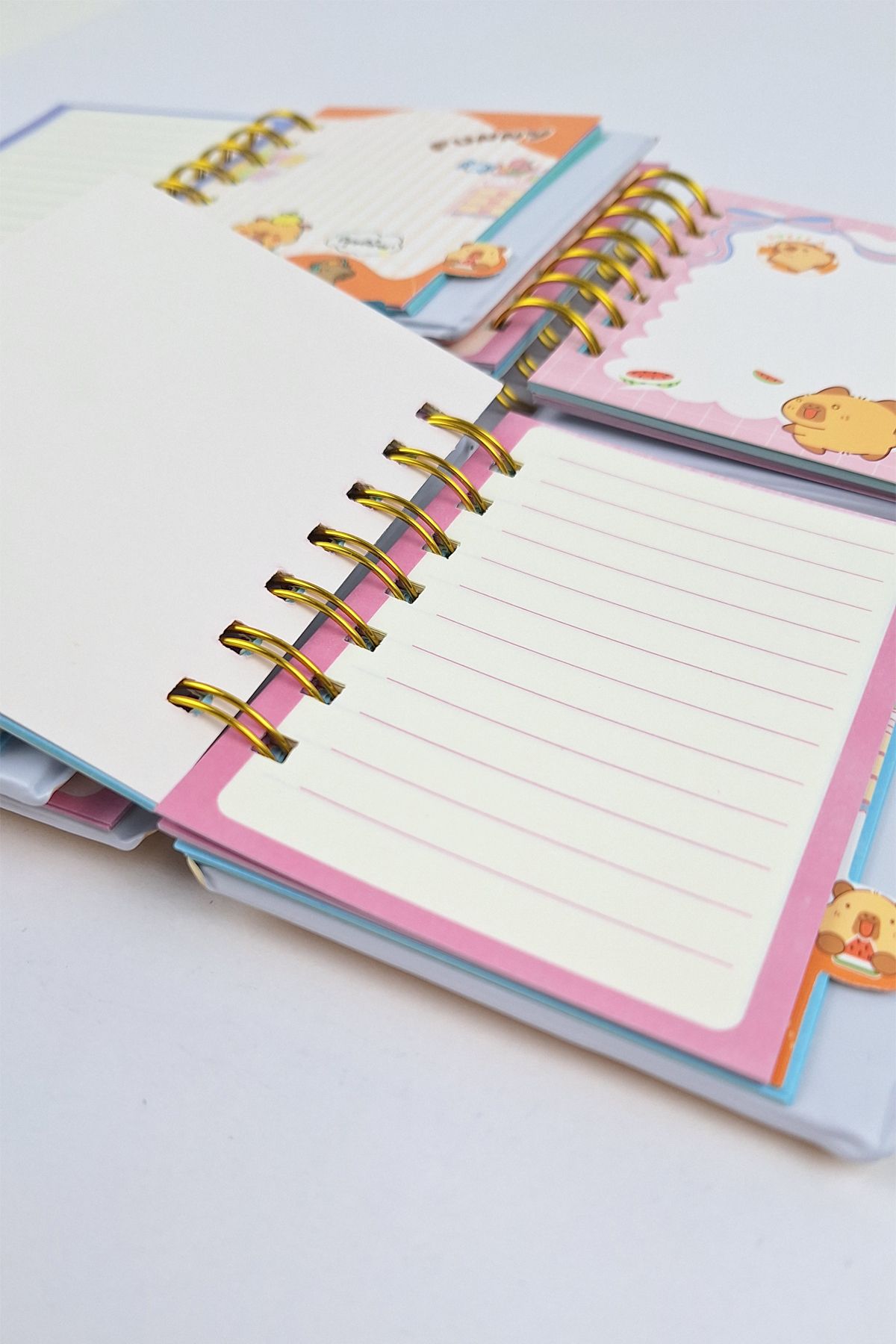 Bold Grup-Capybara Character Puff Notepad - 1 Piece 5