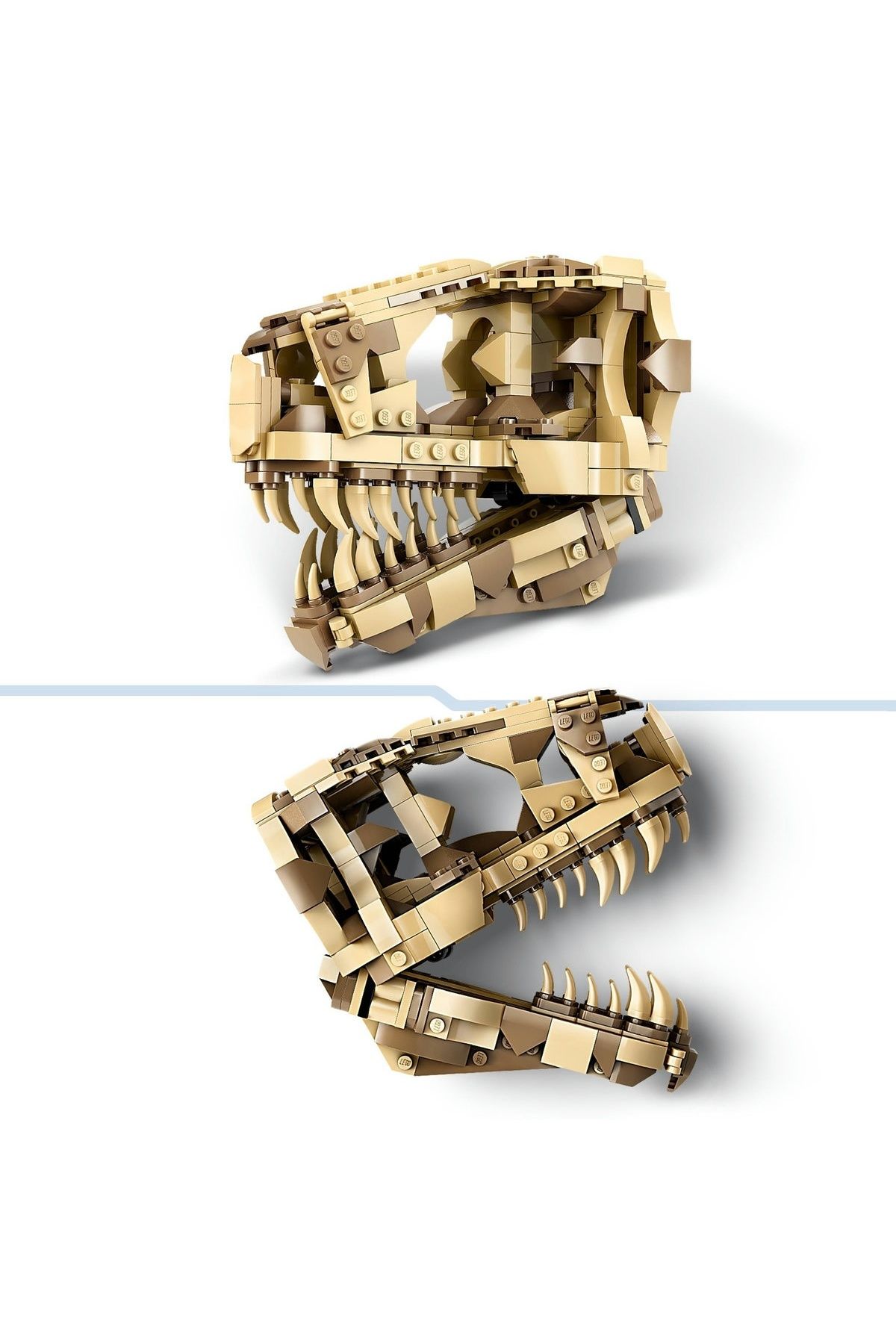 LEGO-LEGO Jurassic World set - Dinosaur Fossils: T.rex Skull (76964) 7