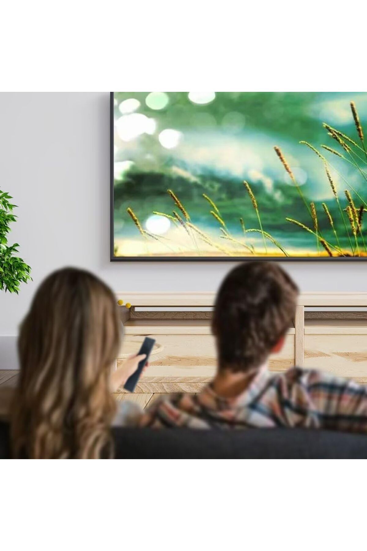 erorex-Universal Remote Control For Led Tv Compatible With Panasonic Televisions Please Match The Image 4