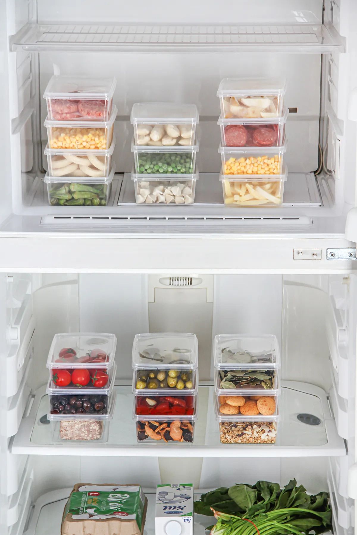 polivera-2 Liter Icebox Storage Box with Lid - Durable and Practical Freezer Organizer Set 10 Pieces 4