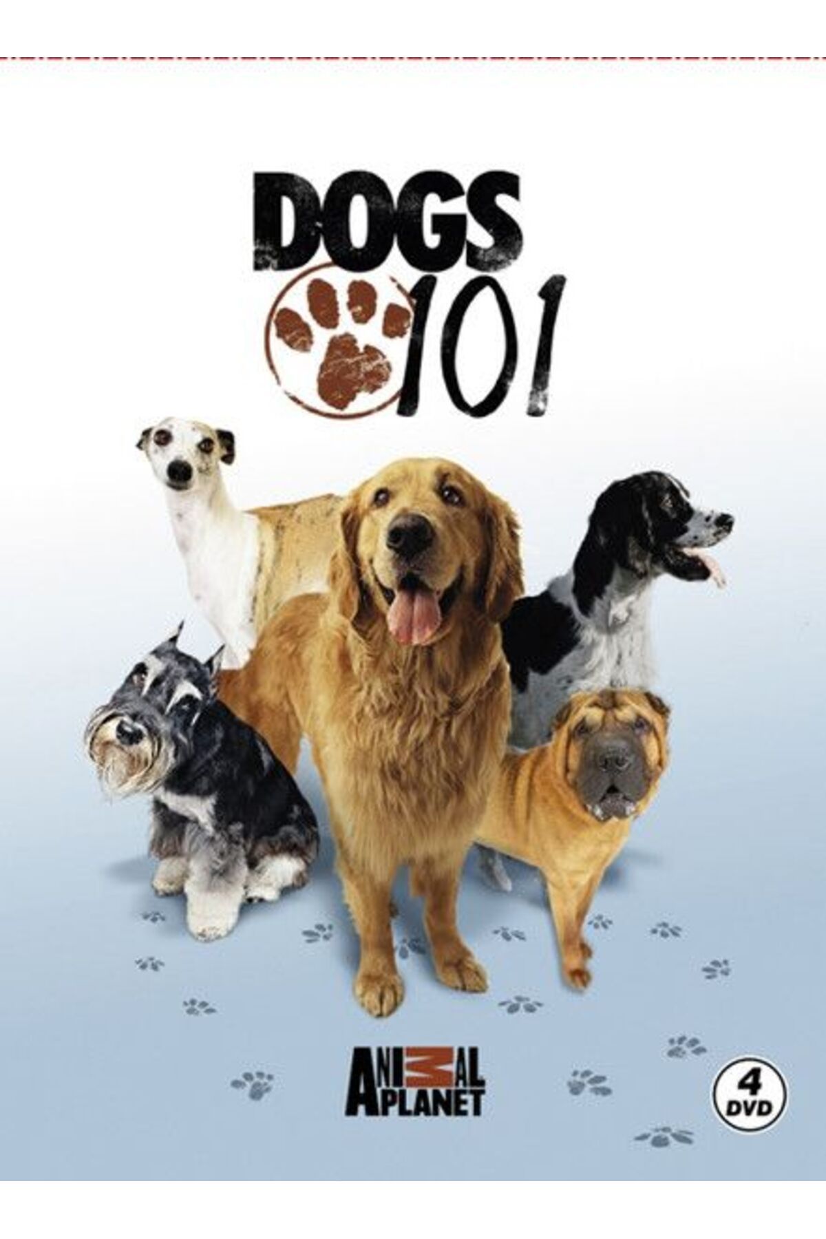 Destek Yayınları Dogs 101 - Köpekler