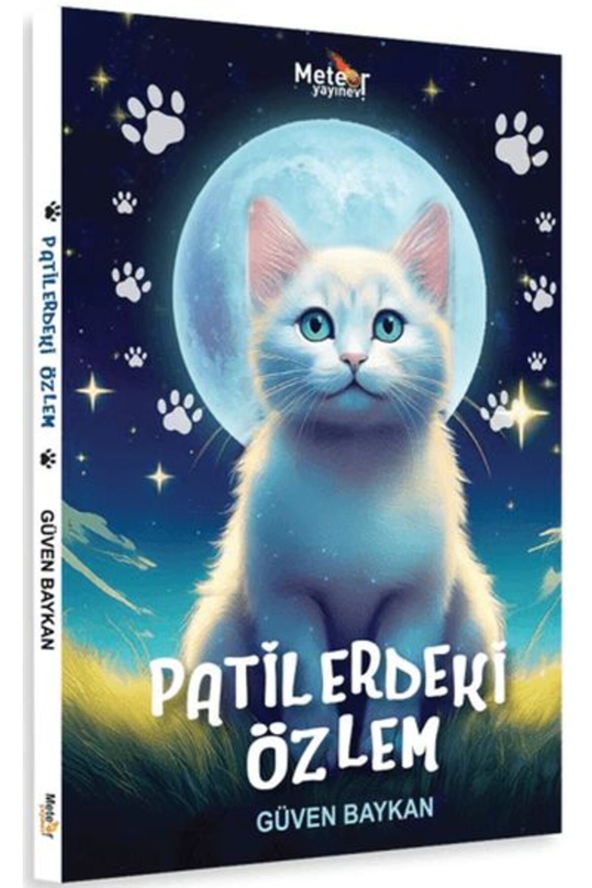 Meteor Yayınevi Patilerdeki Özlem