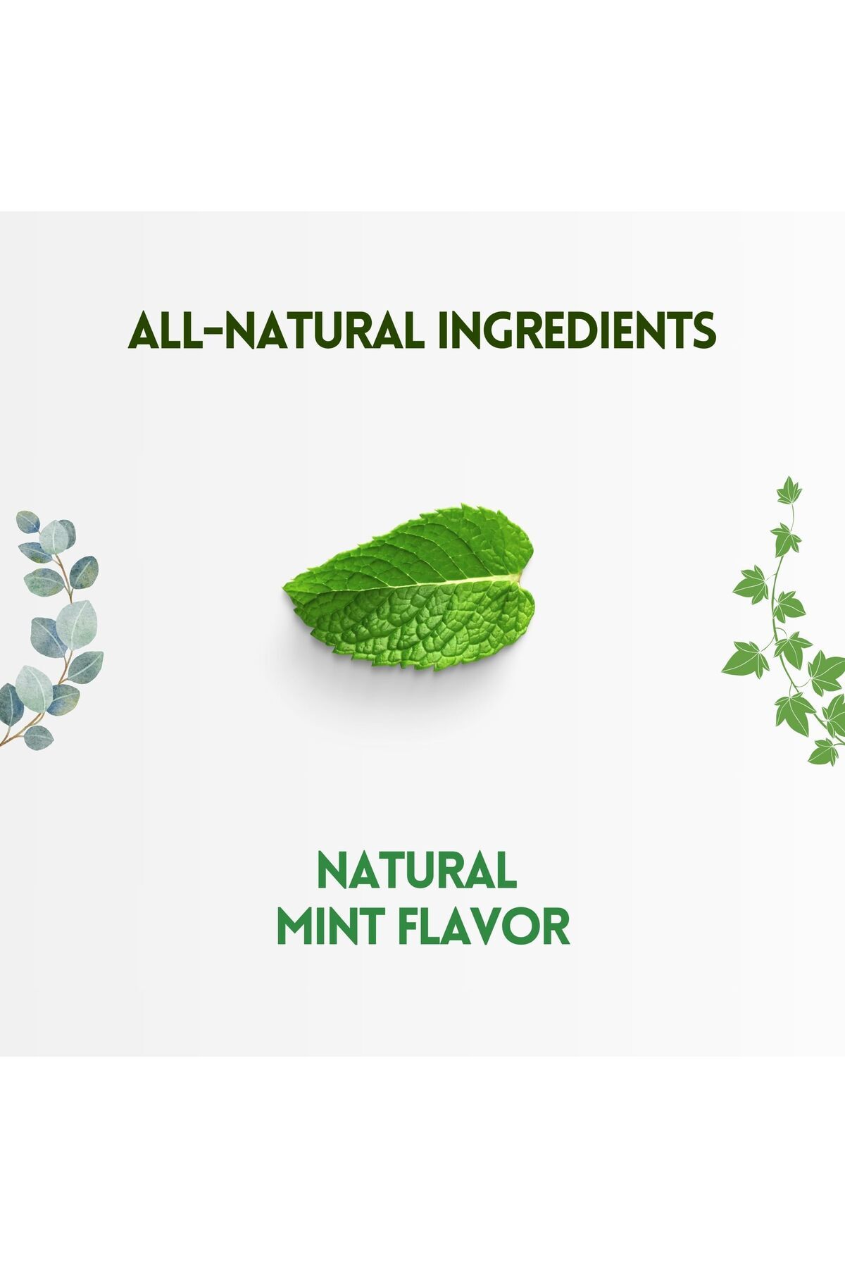Herbion Naturals-Sugar-Free Mint Cough Drops with Stevia, Soothes Cough, for Adults & Kids 6+, 18 Drops 3