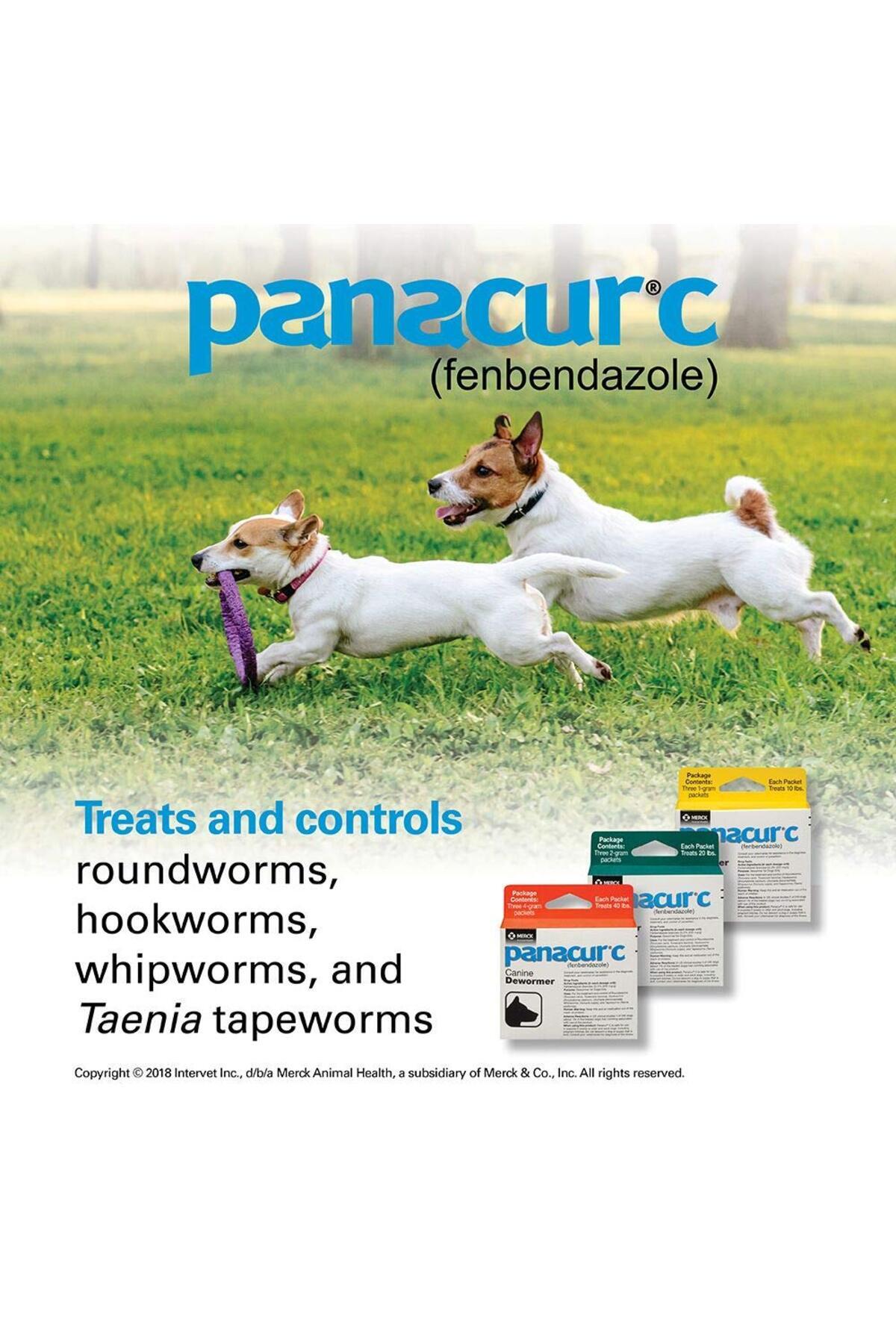 Panacur-C Canine Dewormer (Fenbendazole), 1 Gram, Yellow, 3 Count (Pack of 1) 3