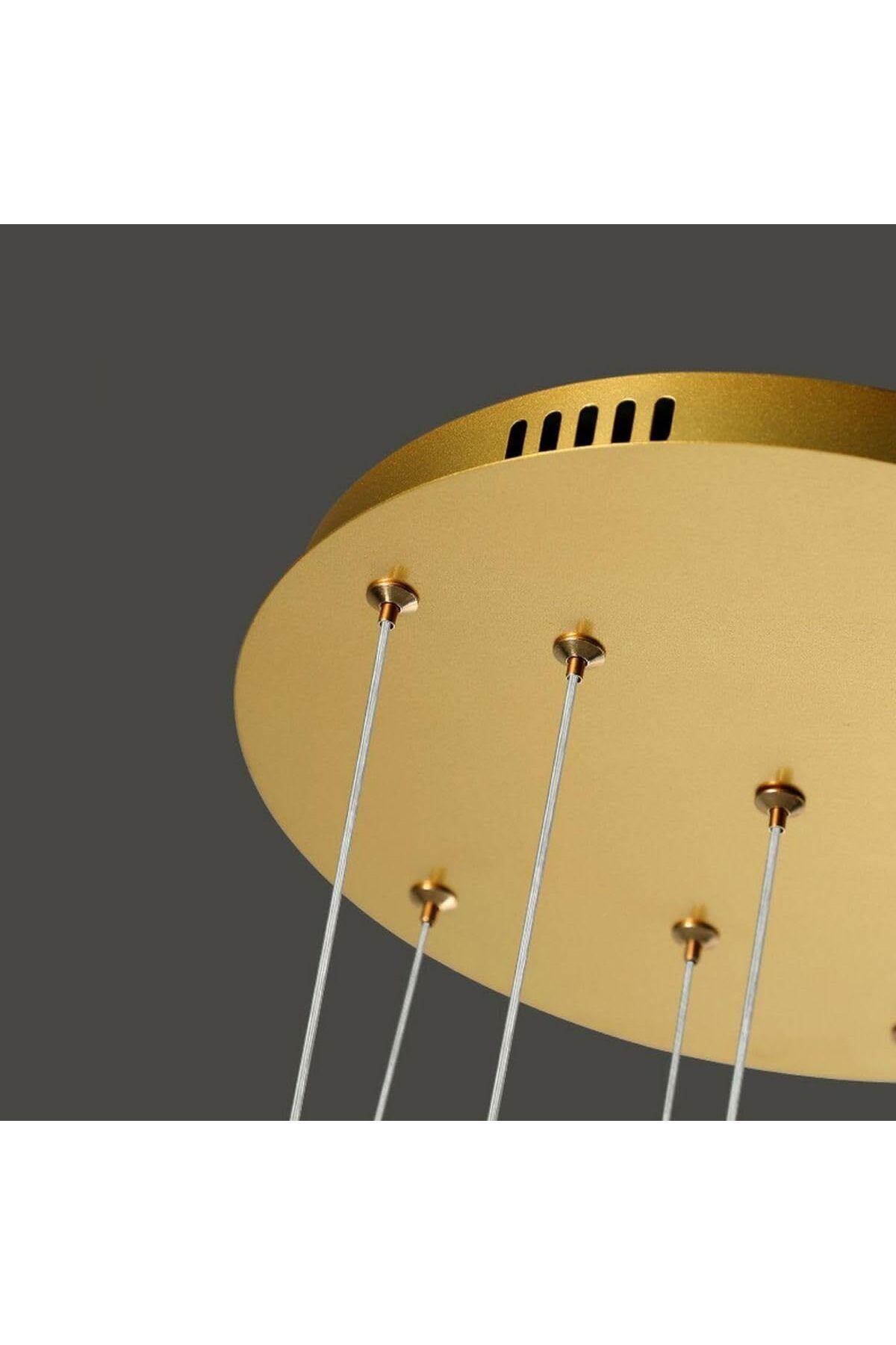 A F N LIGHTING-A F N LIGHTINGS AFN مصباح LED دائري متعدد الطبقات باللون الذهبي المعدني الحديث 4