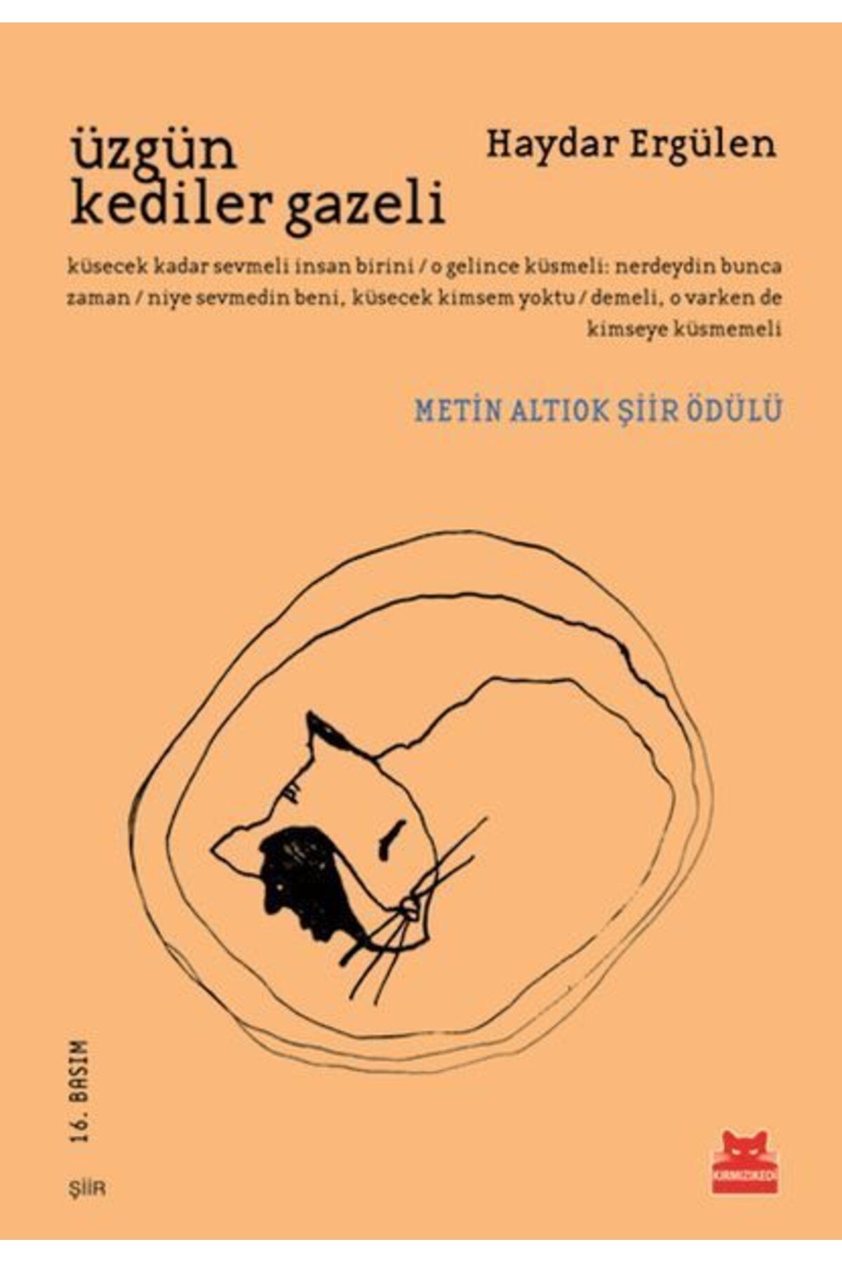 Destek Yayınları Üzgün Kediler Gazeli
