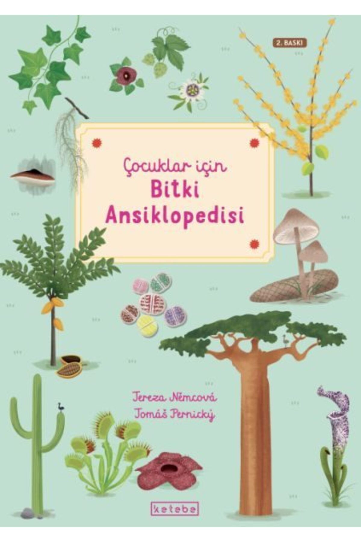 Ketebe Yayınları Çocuklar İçin Bitki Ansiklopedisi