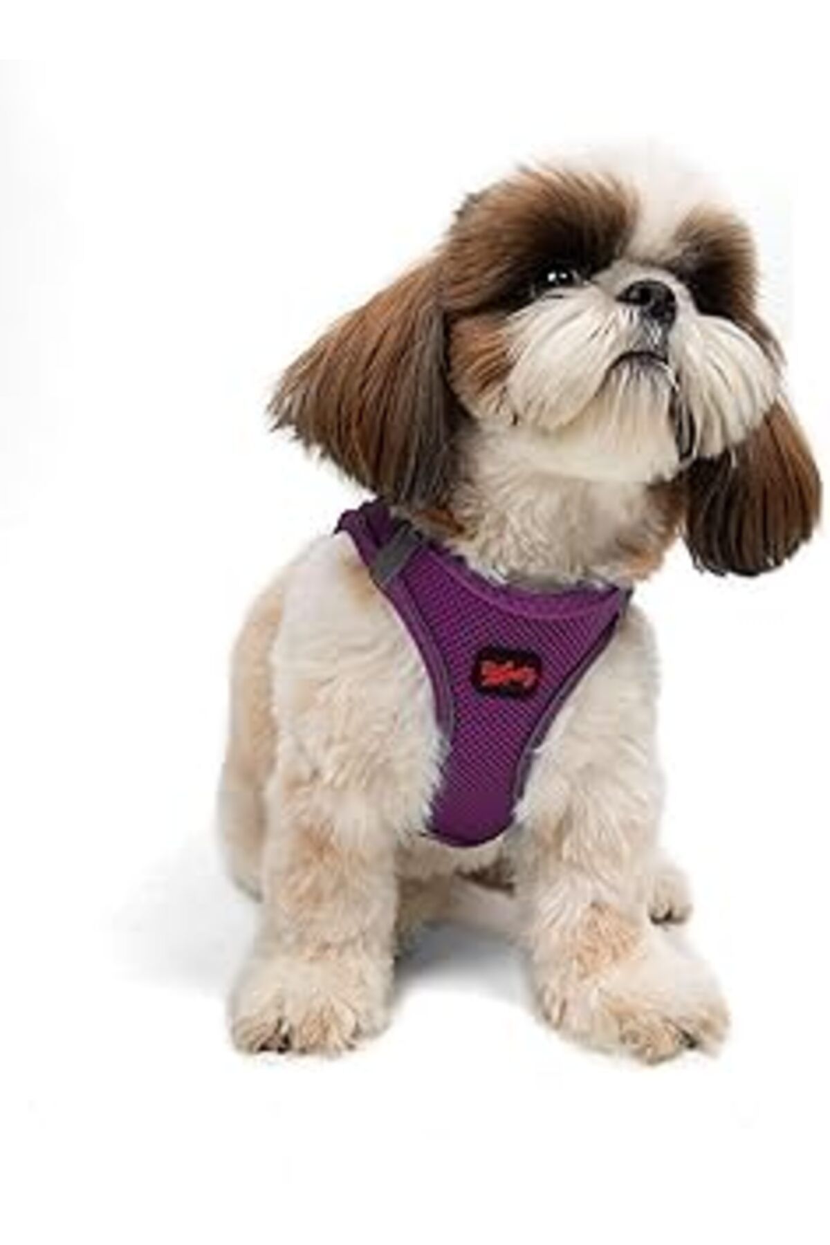 Hepta Collection Tailpetz Air-Mesh Köpek Göğüs Tasması (Mor, Small)