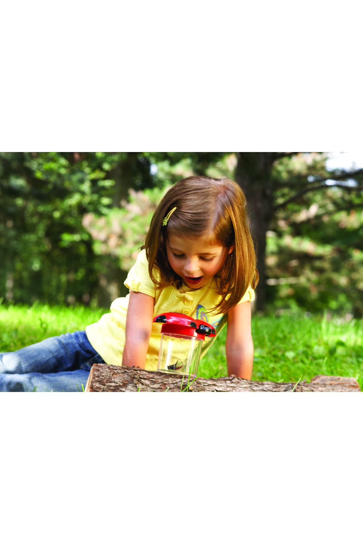 Learning Resources-Primary Science ® Insect Screening Jar 6