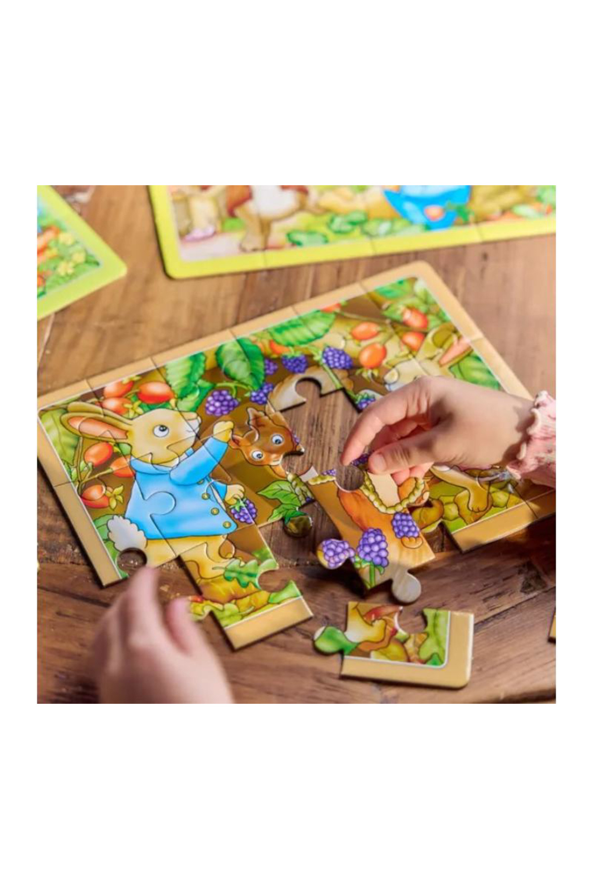 Orchard Toys-Puzzle Drăguț X 4 Peter Rabbit 5
