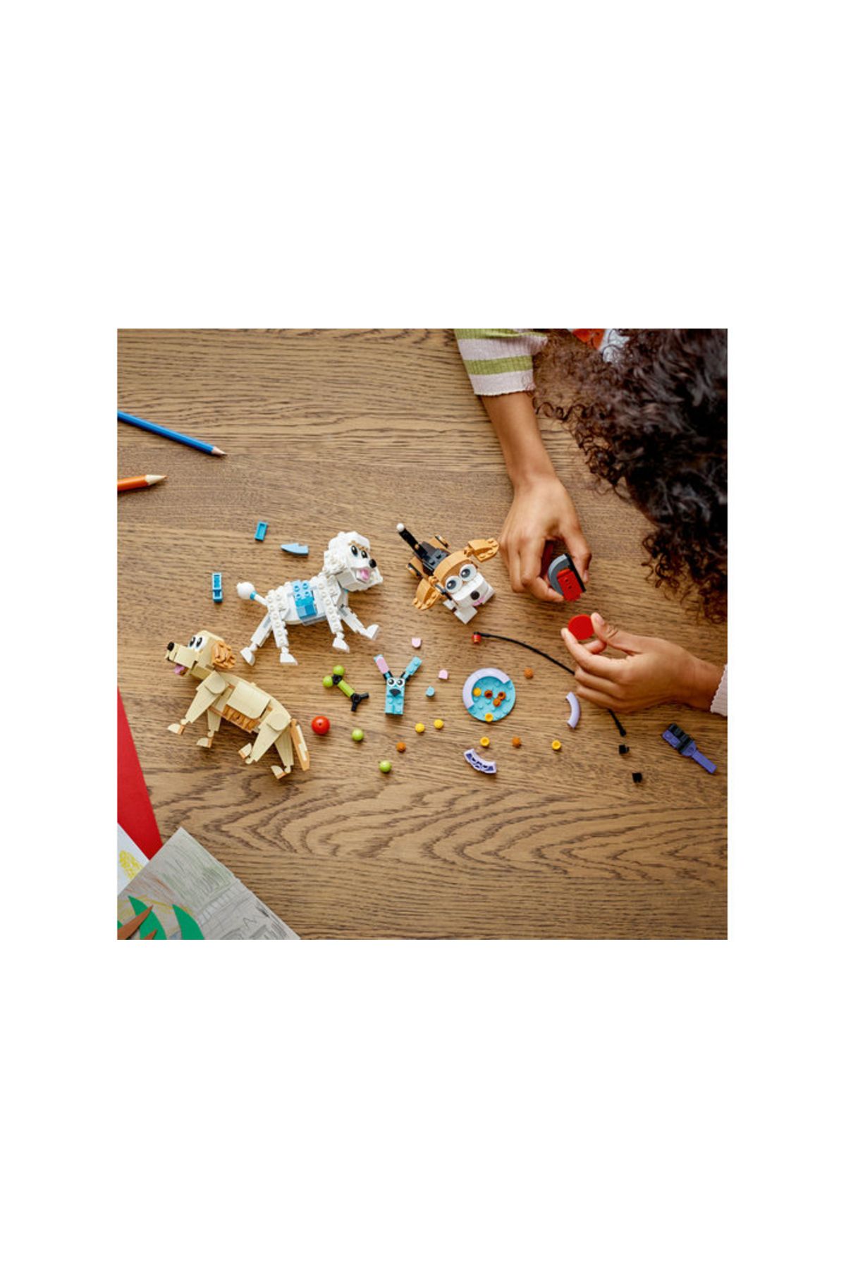 LEGO-® Creator Câini Drăguți 31137 - Set de construcție pentru copii cu vârsta de 7 ani și peste (475 de piese) 5