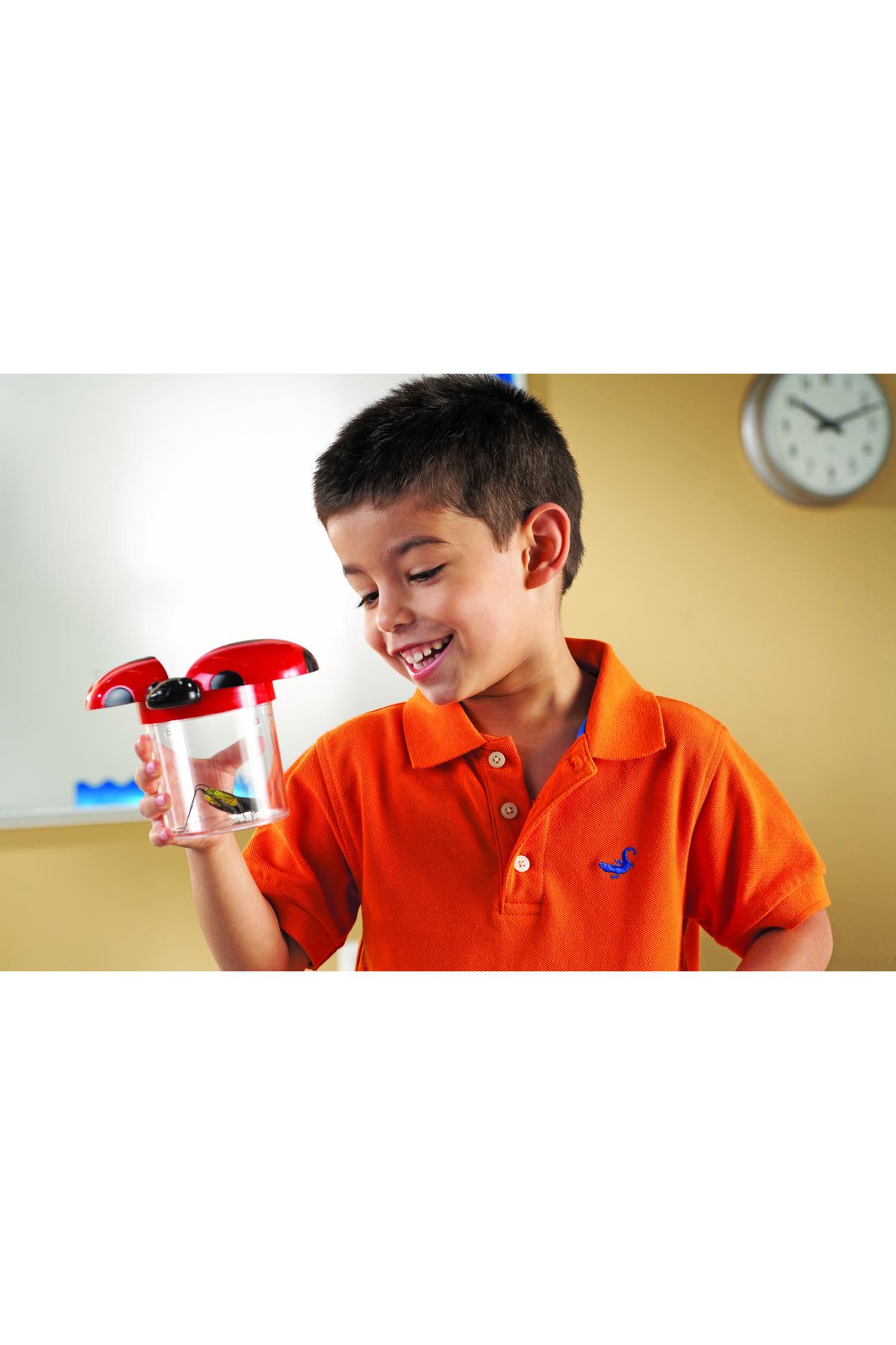 Learning Resources-Primary Science ® Insect Screening Jar 4