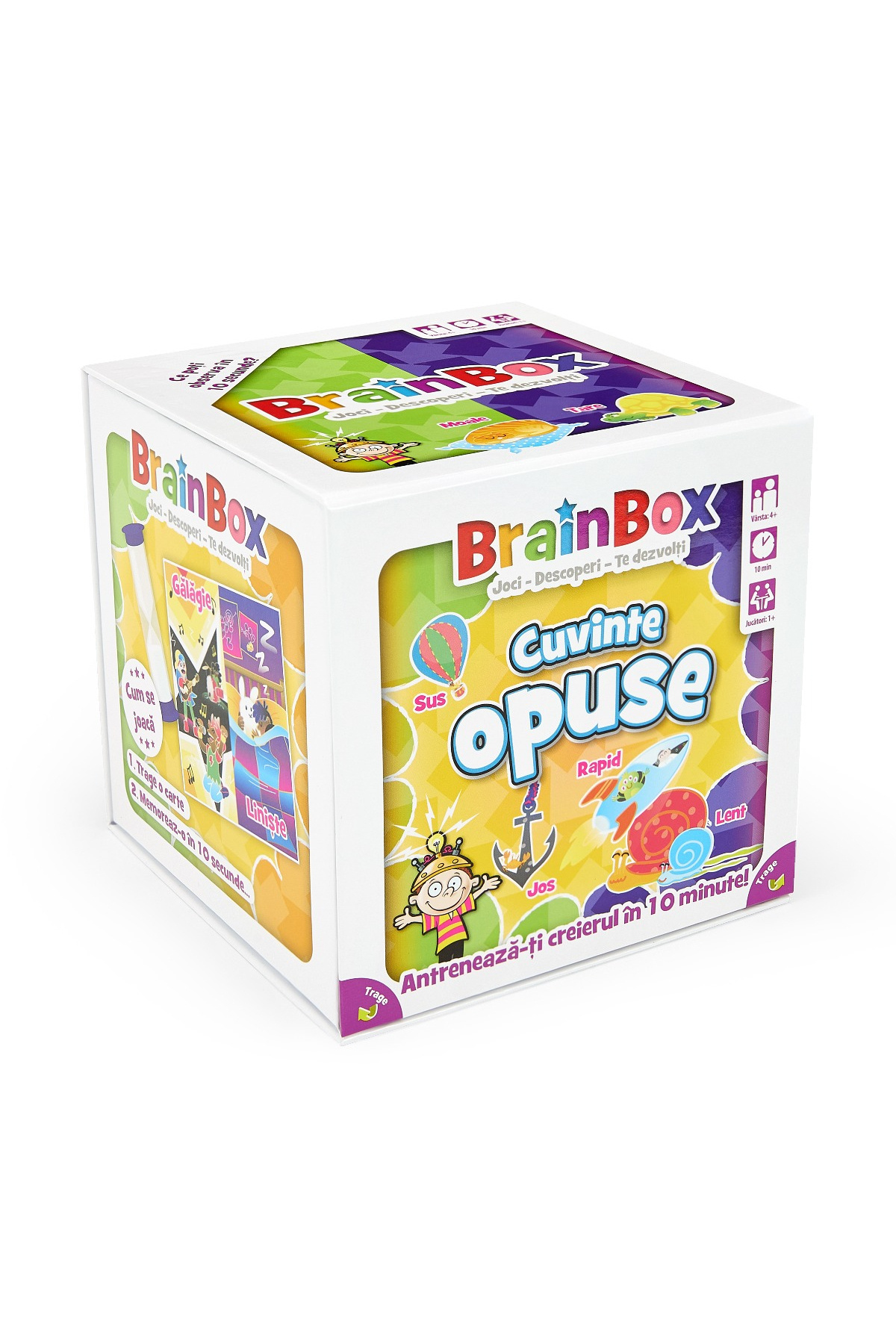 brainbox Educational Game Opposite Words