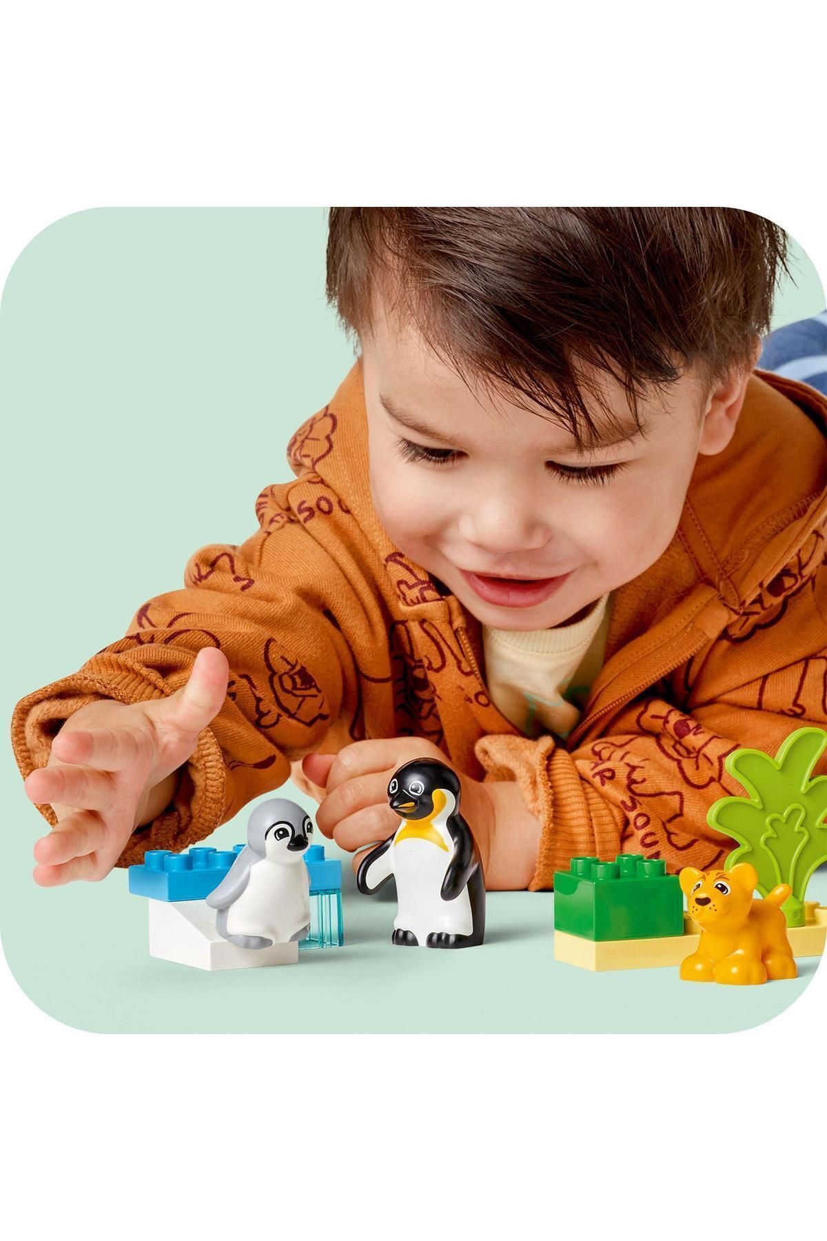 LEGO-®   DUPLO ®   Familii de animale sălbatice din oraș: pinguini și lei 10442 - 2 ani și peste (10 bucăți) 4