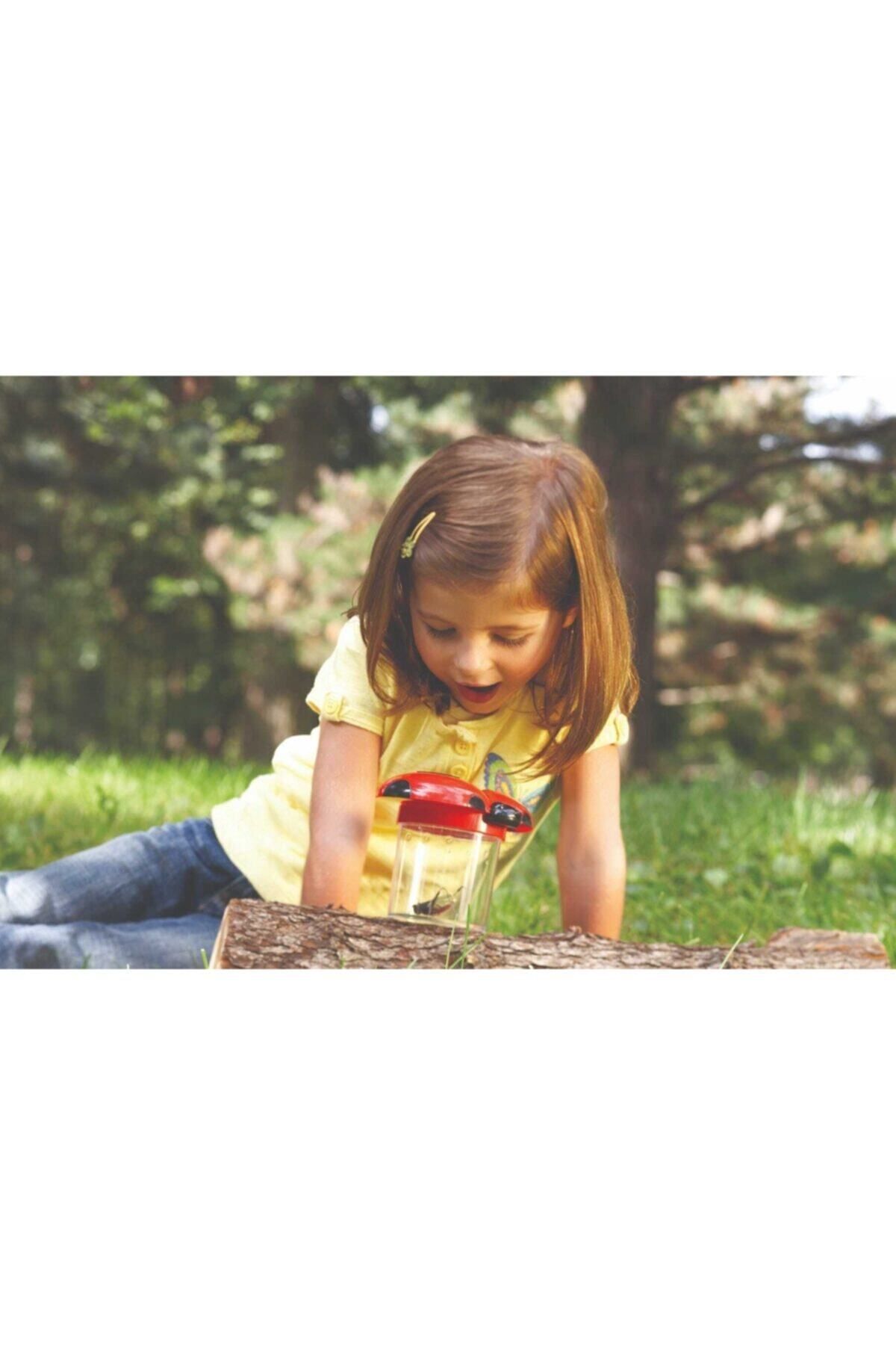 Learning Resources-Primary Science ® Insect Screening Jar 3