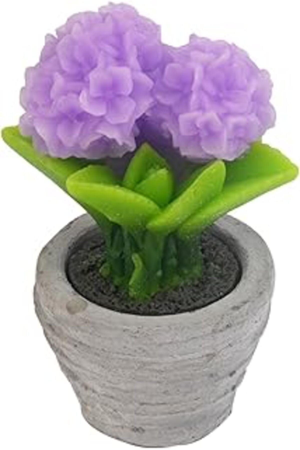 Qedii Setabianca Fun Candle Led Saksi Çiçek Lila Küçük 13X7Cm