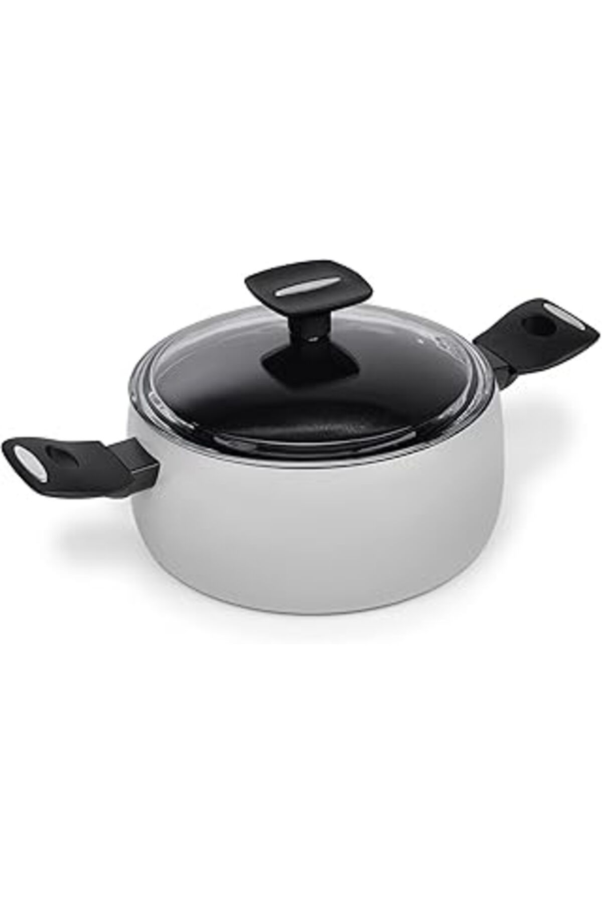 Pazarcan Moneta Tencere 20 Cm + Kapak Mammola Induction