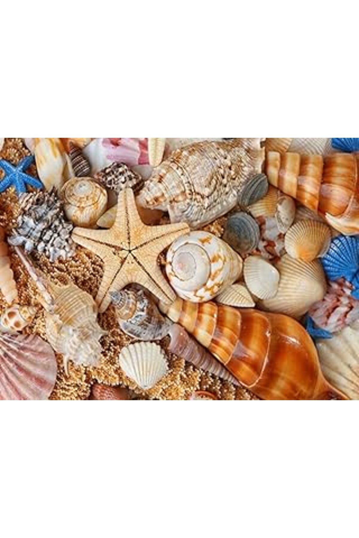 Mu Art Nova Puzzle Kumsaldan Bana Kalanlar 1000 Parça Puzzle