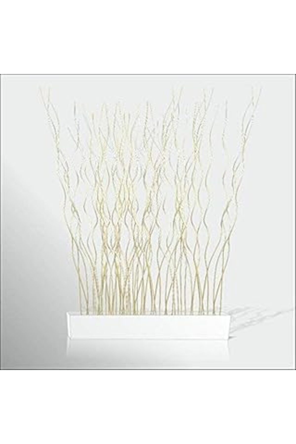 Pazarcan M3Decorium Dkm3Dalseper150 Cmbyz 165 Cm Beyaz Dallı Uzun Beyaz 150 Cm Oda Bölme Seperatör Paravan