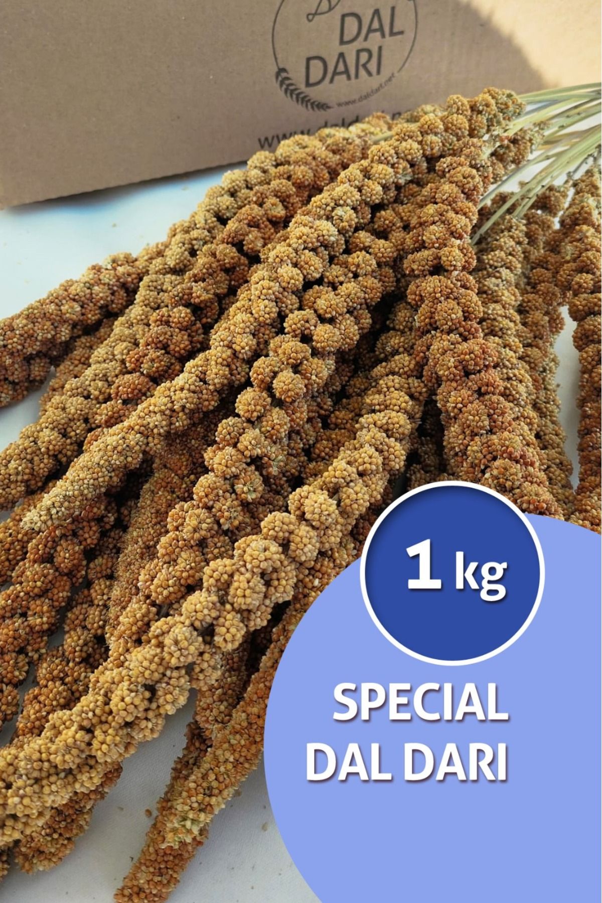 Dal Darı Net Special Dal Darı 1 Kg Muhabbet Kuş Yemi (organik dal darı)