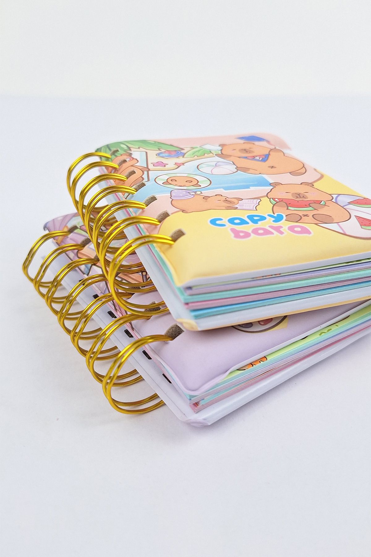 Bold Grup-Capybara Character Puff Notepad - 1 Piece 6