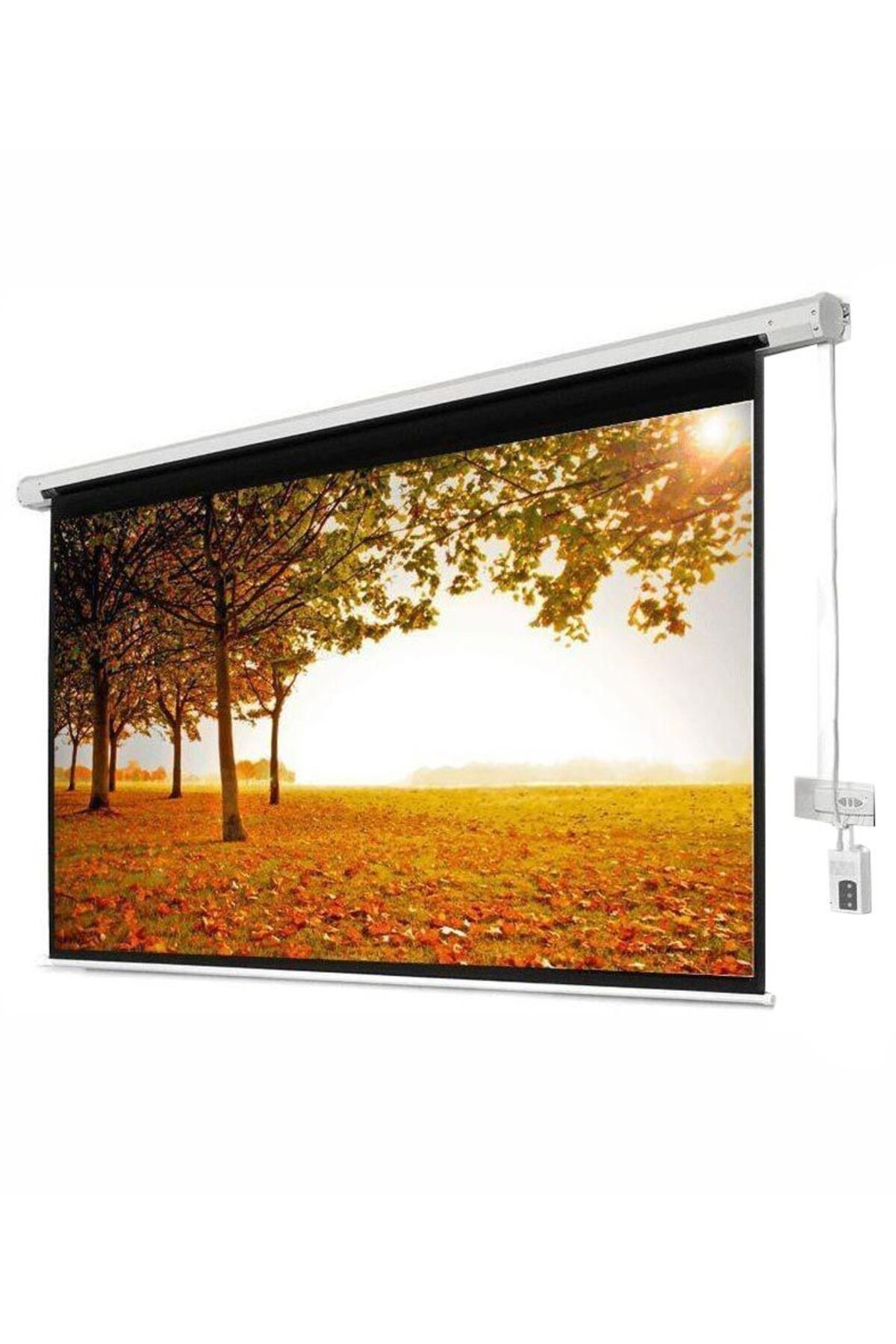 CODEGEN Xbright BE-240 240x200cm Motorlu Uzaktan Kumandalı Projeksiyon Perdesi (Arkası Siyah Fonlu)