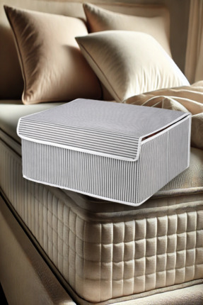 Nanteks 1 Adet Kapaklı Çok Amaçlı Baza Altı Kutu Hurç 50x40x19cm