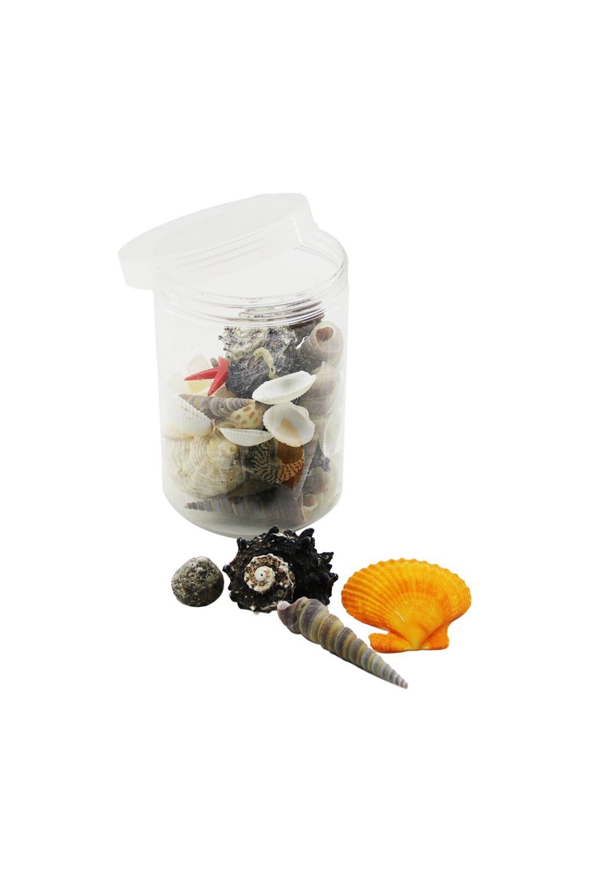STOREMAX PLASTİK KAVANOZ MİDYE DENİZ KABUK VAZO TAŞI 1092444