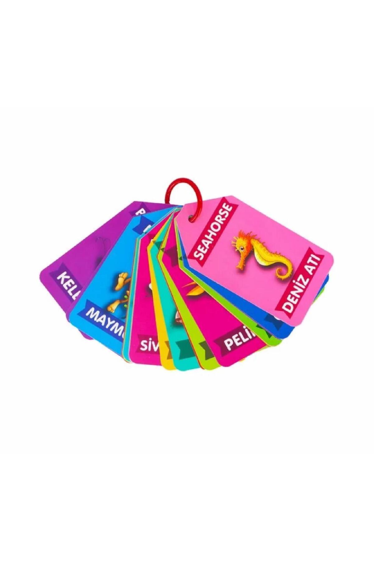 toysclub LACO KIDS LC7484 FLASH KART HAYVANLAR fotoğrafı 3 (önizleme)