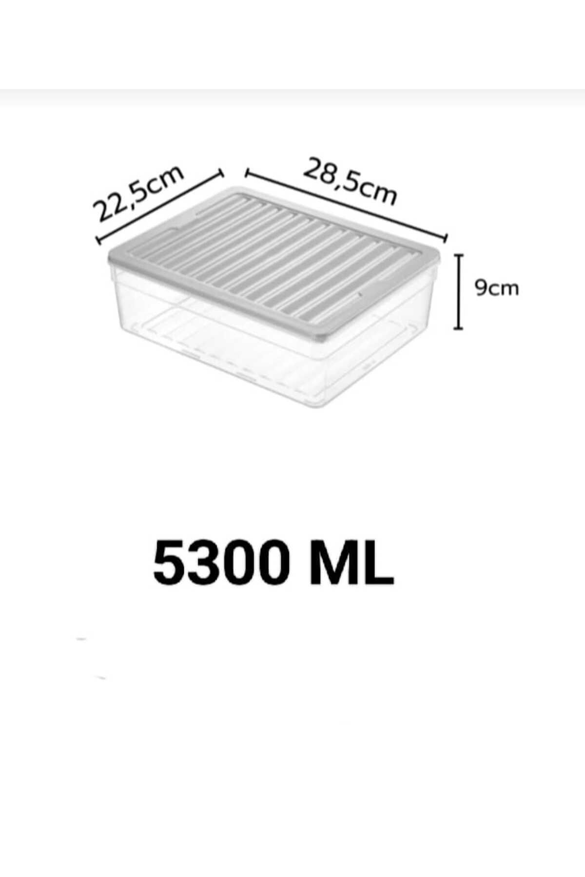 VİZYON-Horizontal Lid Diffuse Refrigerator Organizer Storage Container Microwave Container 4