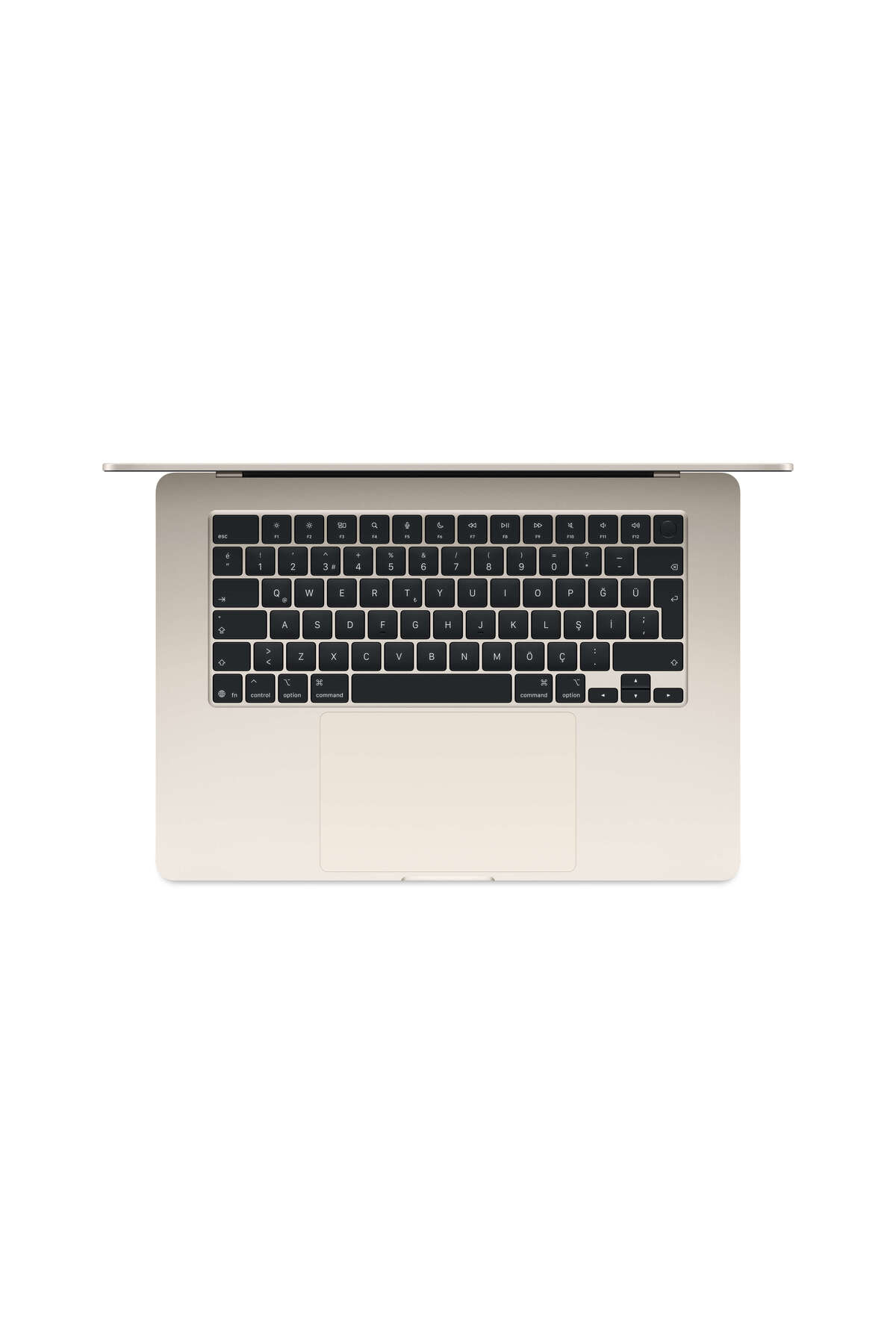 Apple 15