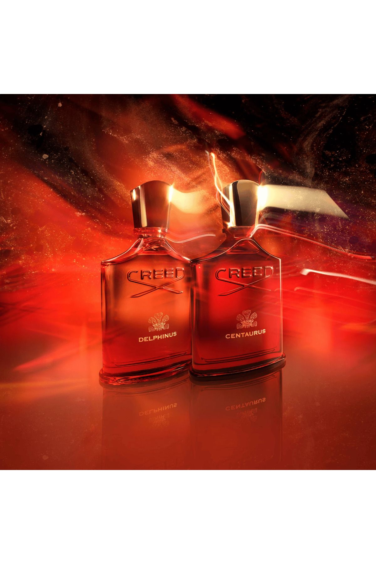 Creed-Delphinus Perfume by Creed EDP 100 ml 4