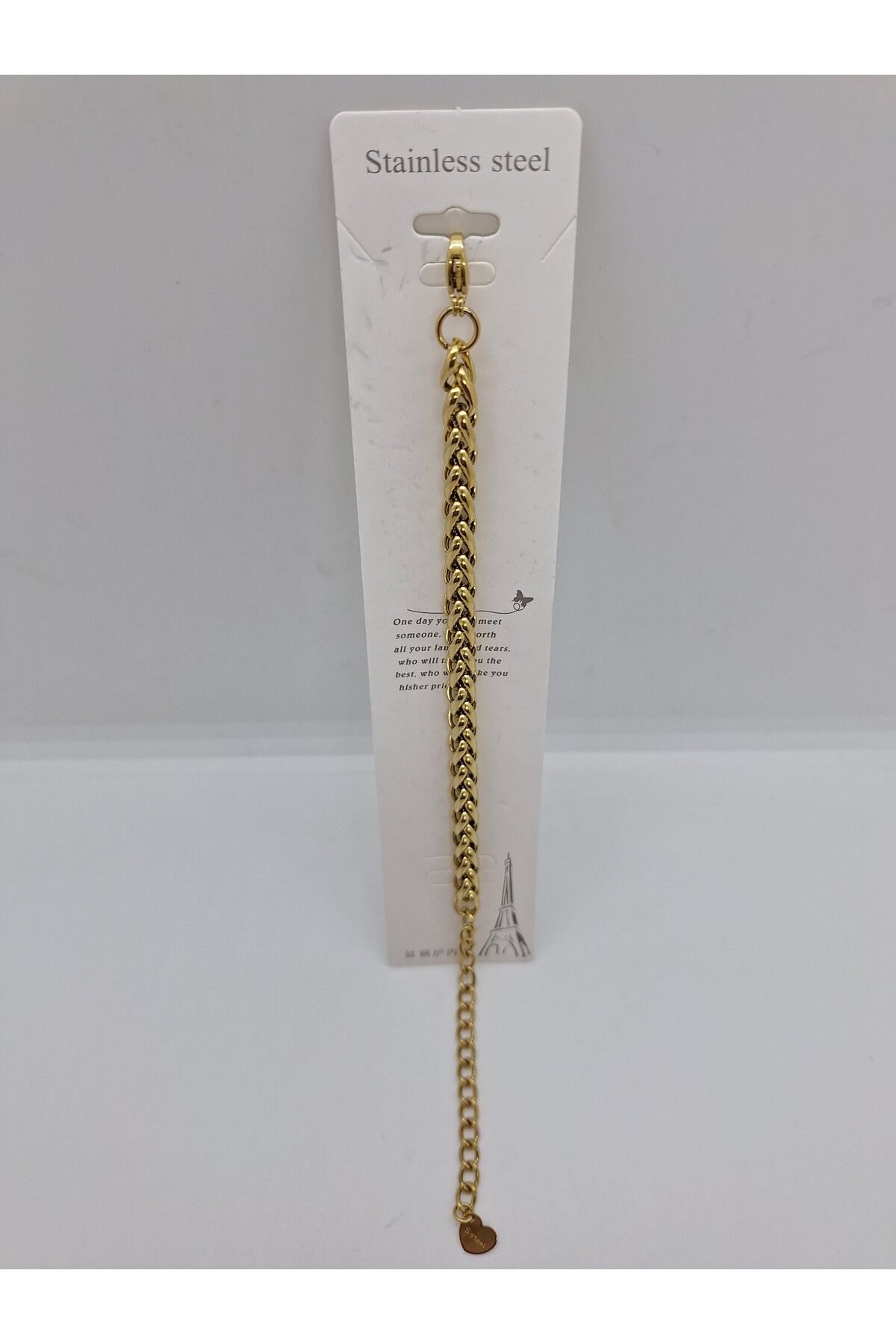 stainles steel-Steel Chain Oval with Biyle 2