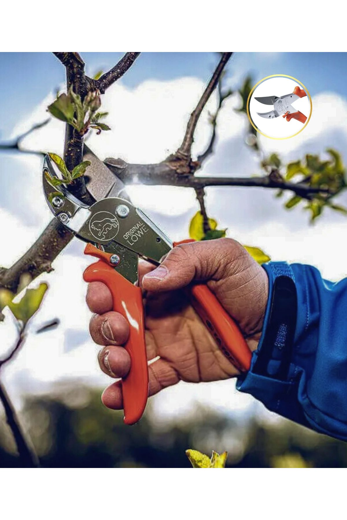 löwe-Pruning Shears 10107 Inward Curved Handle Strong Cutting Scissors - Made in Germany 3