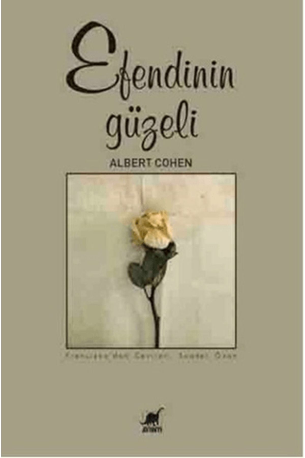 Ayrıntı Yayınları Efendinin Güzeli