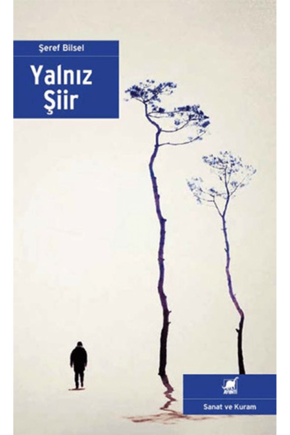 Ayrıntı Yayınları Yalnız Şiir