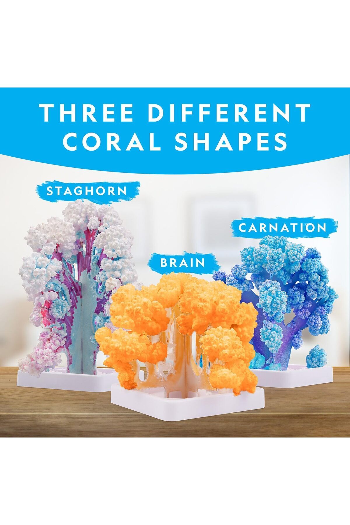 آزمایشگاه پرورش مرجان کریستال ریف