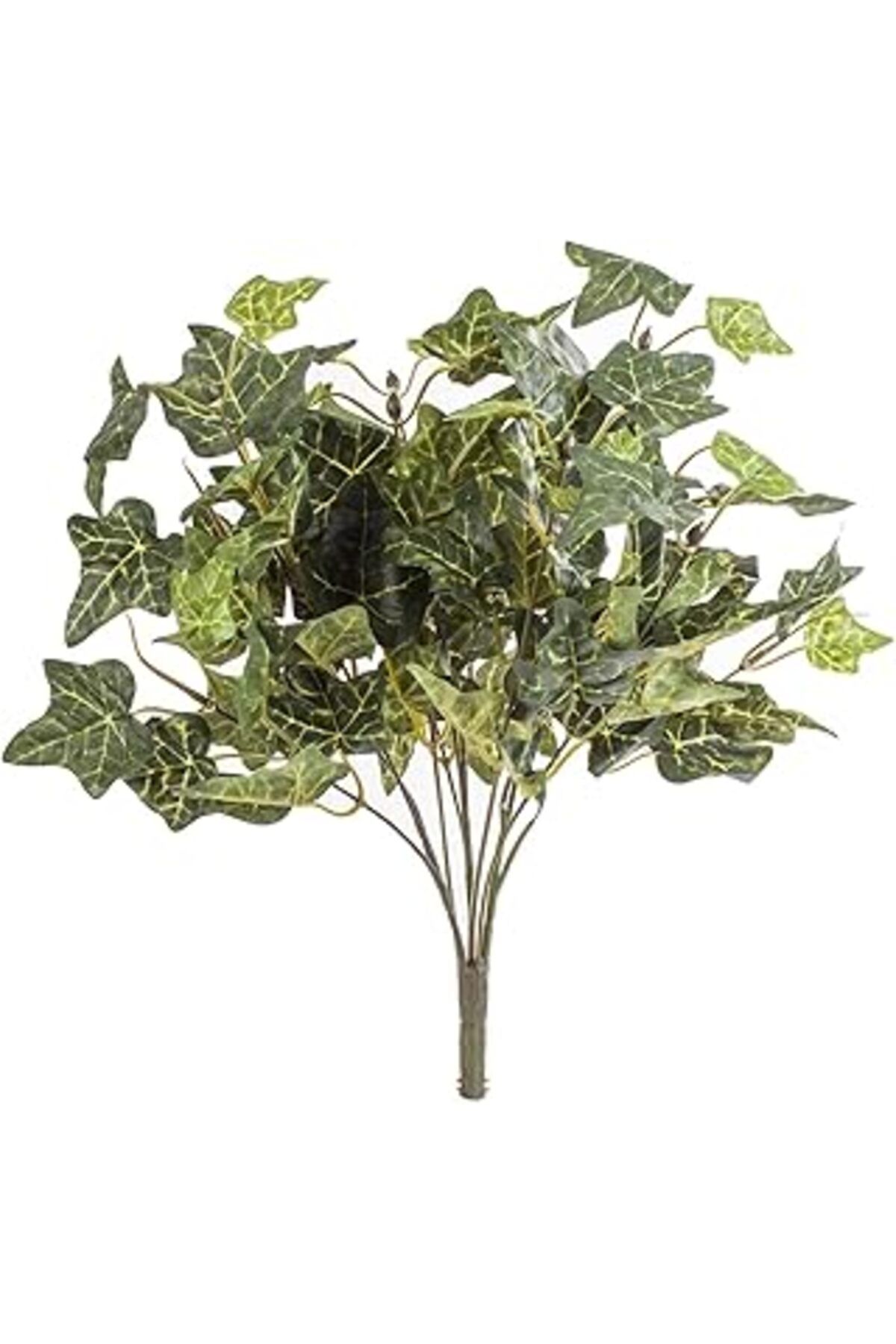 Pazarcan Euro Flora Yapay Sarmaşık Dalı 38 Cm