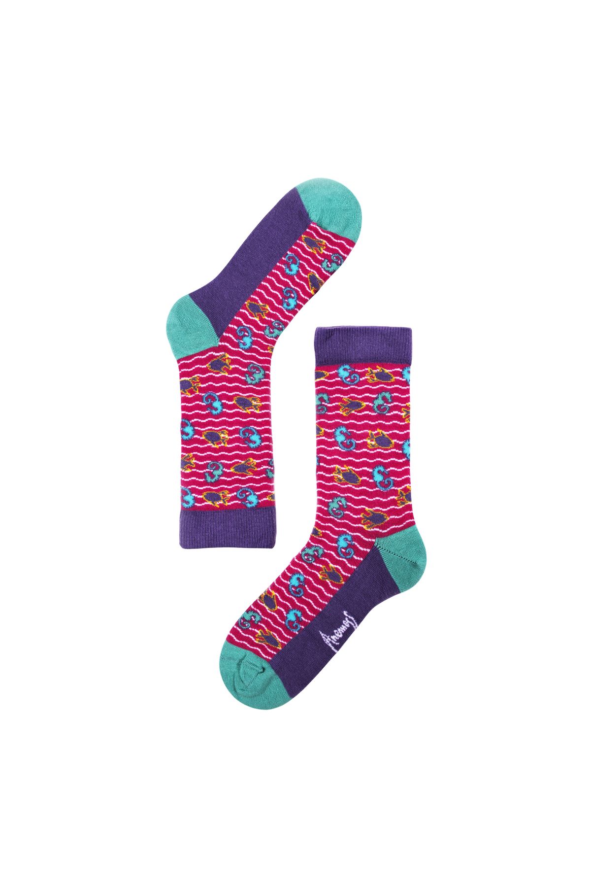 ANEMOSS-Women’s Seamless Socks Set, 5 Pairs, Nautical Design, %85 Cotton, Fits Sizes 36-40 (EU) 7