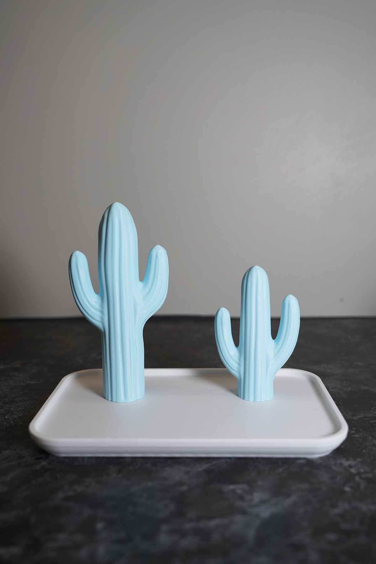 Home Dekoratif Kaktüs Tasarımlı Takı Standı, Düzenleyici, Yüzük/Küpe/Kolye/Takı Askılığı fotoğrafı 3 (önizleme)