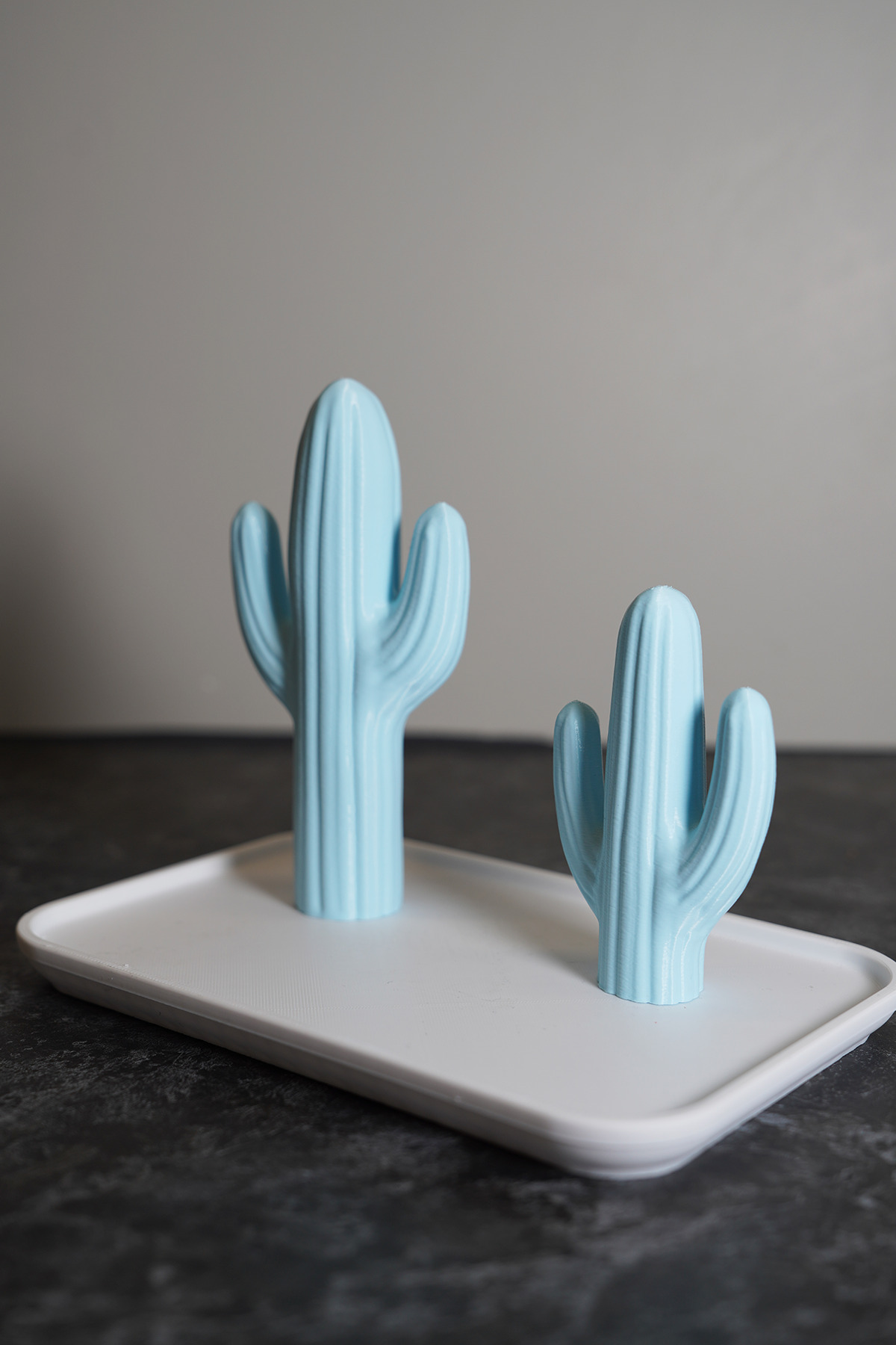 Home Dekoratif Kaktüs Tasarımlı Takı Standı, Düzenleyici, Yüzük/Küpe/Kolye/Takı Askılığı fotoğrafı 5 (önizleme)