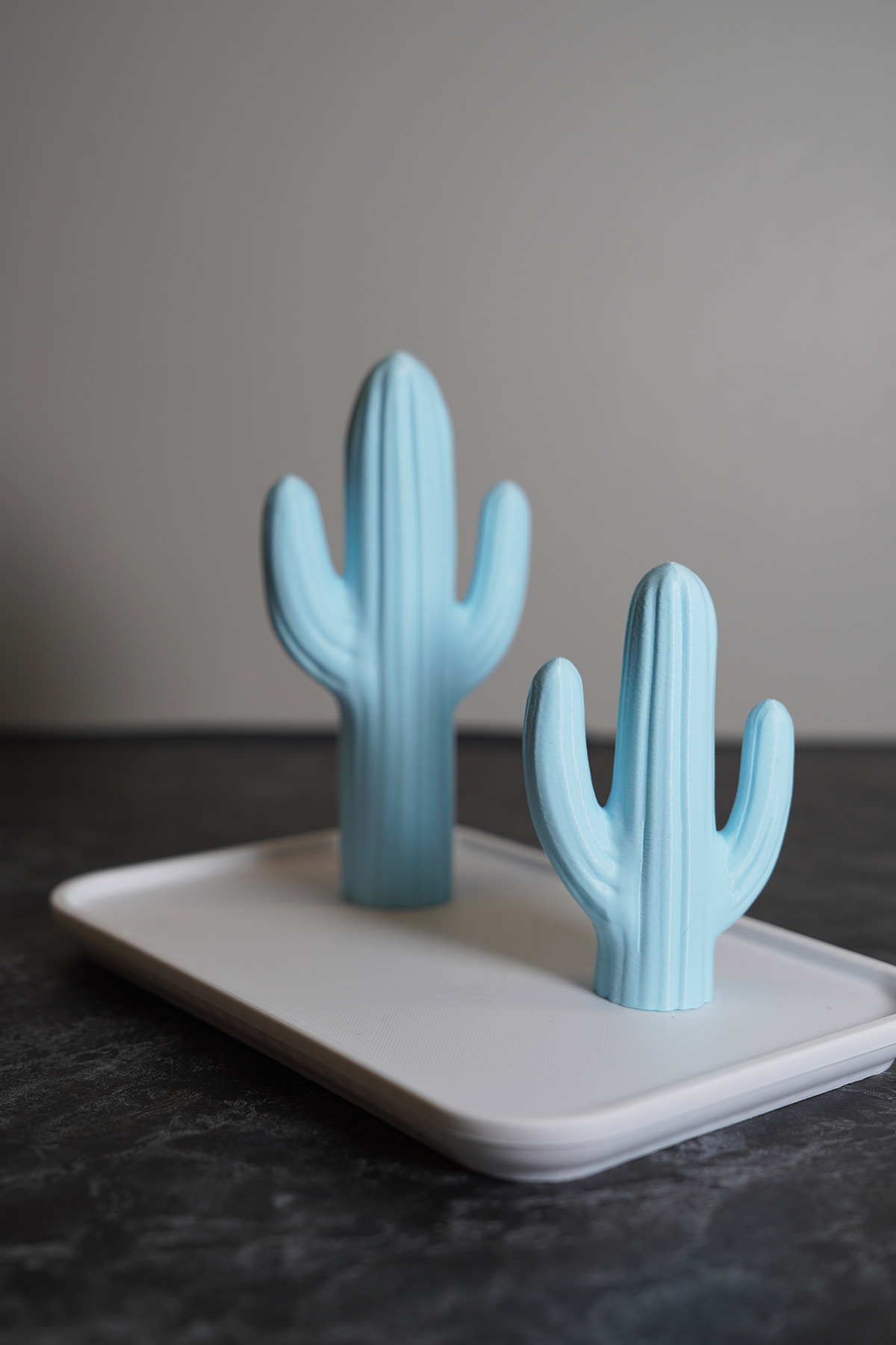 Home Dekoratif Kaktüs Tasarımlı Takı Standı, Düzenleyici, Yüzük/Küpe/Kolye/Takı Askılığı fotoğrafı 2 (önizleme)
